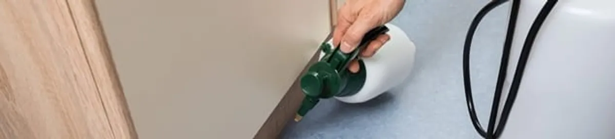 Bed bug exterminator treating baseboards and cracks with targeted spray in Chattanooga, TN
