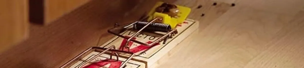 Rodent trap set indoors for rodent control and prevention in Chattanooga, TN